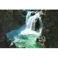 Waterfalls, Cathedral Grove Rainforest and Coombs Private Tour