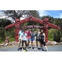 walking and biking tour on waiheke island