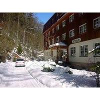 Waldhotel Am Ilsestein