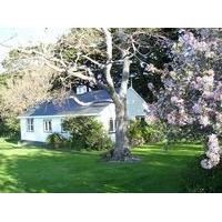 Waituna Homestead and Cottage