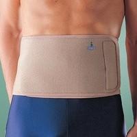 Waist Belt Support 1060