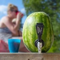 watermelon keg kit