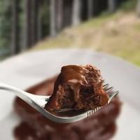 Wayfayrer Camping Food - Chocolate Sponge