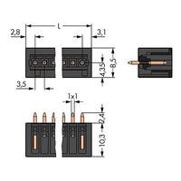 WAGO 734-140/105-604 Male MCS-MINI 10P 3.5mm Straight Solder Pins ...