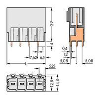 WAGO 831-3604 Male MCS-MAXI 4P 7.62mm Straight Solder Pins Pk24