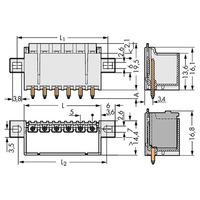 WAGO 2092-1404/005-000 picoMAX® 5.0 Male Flanged 4P Straight Pk200