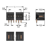 WAGO 734-165/105-604 Male MCS-MINI 5P 3.5mm Angled Solder Pins Pk200