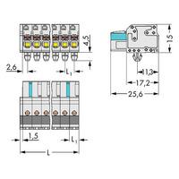 WAGO 2721-102/008-000 Female MCS-MIDI 2P 5mm Snap-in Feet Push But...