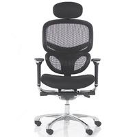 Wave Mesh Back Ergonomic Chair with Air Mesh Seat With Headrest