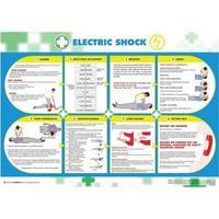 Wallace Cameron Electric Shock Poster Laminated Wall-mountable 590 x