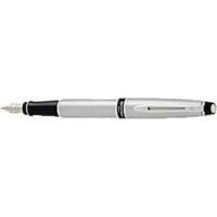 Waterman Expert Fountain Pen