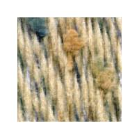 Wash and Felt Wools 2mm x 50g Tweed - Beige