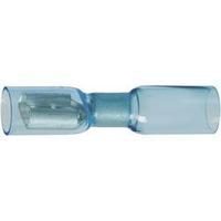 Watertight Heatshrink Insulated Female Receptacle, Blue, 1.5 - 2.5mm², DSG Canusa Crimpseal II 7934200502