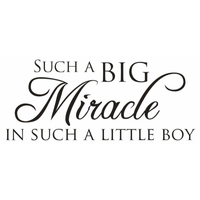 Wall Word Designs Stickers Miracle Boy - black, 1092-2