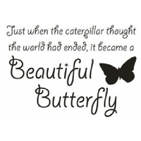 Wall Word Designs Stickers Beaut...