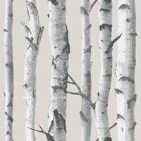 wallpops birch tree grey peel stick wallpaper l55m w52cm