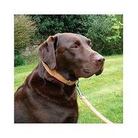 Wag n Walk Brown Leather Collar 14-18\