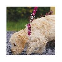 Wag n Walk Designer Damson Lead 40X3/4\