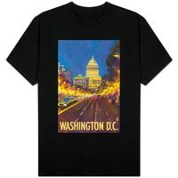 Washington DC; The Capitol Building