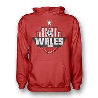 wales country logo hoody red kids