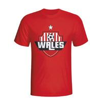 wales country logo t shirt red kids