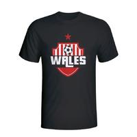 wales country logo t shirt black kids