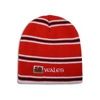 Wales Rwc 2015 Scarf