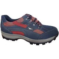 Waldläufer 471240 Holly women\'s Shoes (Trainers) in blue
