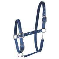 Waldhausen Rising Star Headcollar