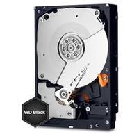 WD Black 500GB Performance Desktop Hard Disk Drive - 7200 RPM SATA 6 Gb/s 64MB Cache 3.5 Inch
