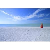 west coast florida 2 day trip everglades park sanibel island and outle ...