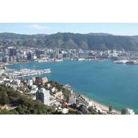 Wellington City Scenic Private Tour