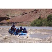 Westwater Canyon Rafting Adventure from Moab