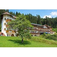 Wellnesshotel Basler Hof am Schlosswald