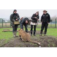 Weekday Ranger Experience