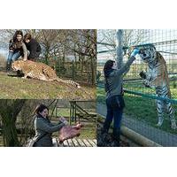 Weekend Ranger Experience