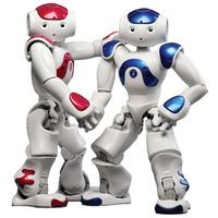 Webots For NAO - 10 User License