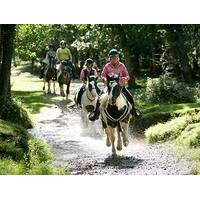 Western Riding Break For Two - Was £279, Now £264