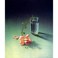 Weeping Rose By Vladimir Tretchi...