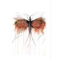 Westwood Bug By Marion McConaghie