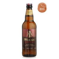 Welsh Golden Ale - Case of 20