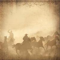Western Paper 12X12 262689