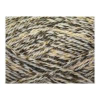 Wendy Fashion Festival Knitting Yarn Chunky 2541 Cream Fields