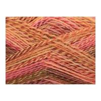 Wendy Roam Fusion Sock Knitting Yarn 4 Ply