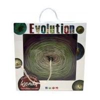 wendy evolution scarf shawl in a box knitting crochet kit 3392 mountai ...