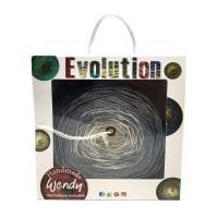 Wendy Evolution Scarf Shawl in a Box Knitting & Crochet Kit 3393 Cliff