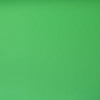 WexPro 3m x6m Vinyl Background - Chromakey Green