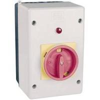 WEG MPE55G Structure Housing For...