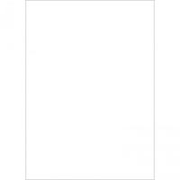 Westcott Basics X-Drop Background Cloth - White