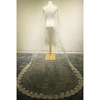 wedding veil one tier cathedral veils lace applique edge champagne